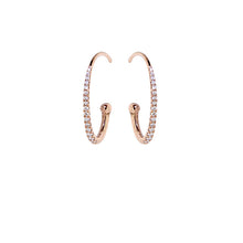 Load image into Gallery viewer, Pink Golden Diamond Earrings - Select your Favourite Pendants