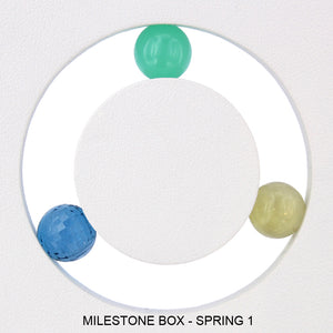 The Milestones Boxes - Spring