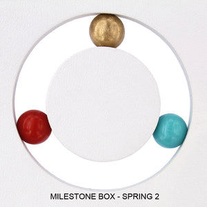 The Milestones Boxes - Spring